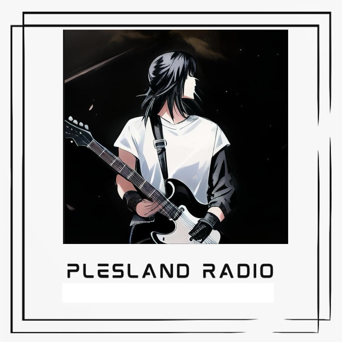 Plesland Radio